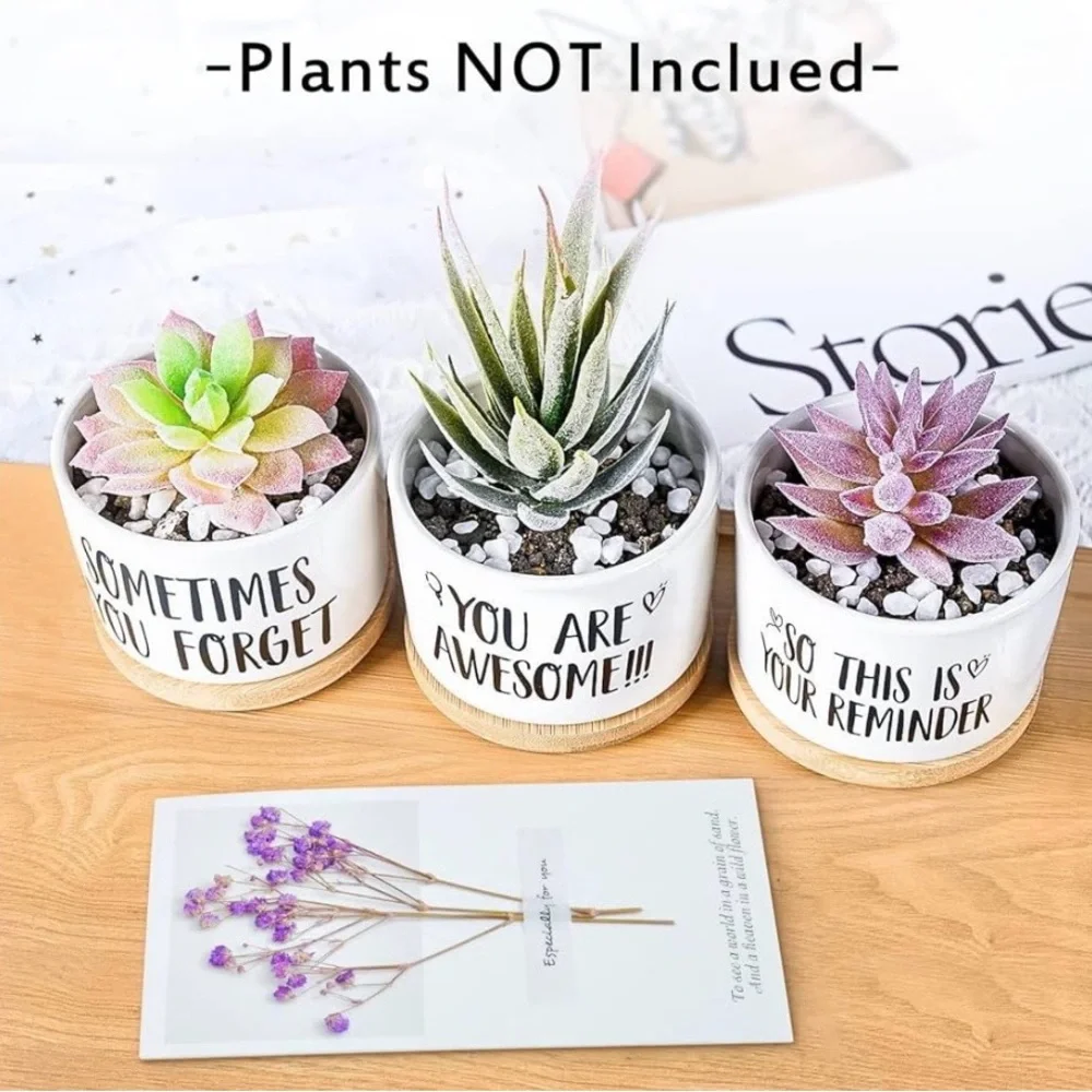 Set of Three Succulent Planters with Inspirational Quotes
